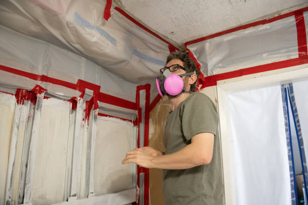 Best Environmental Consulting for Mold Prevention  in Painted Post, NY